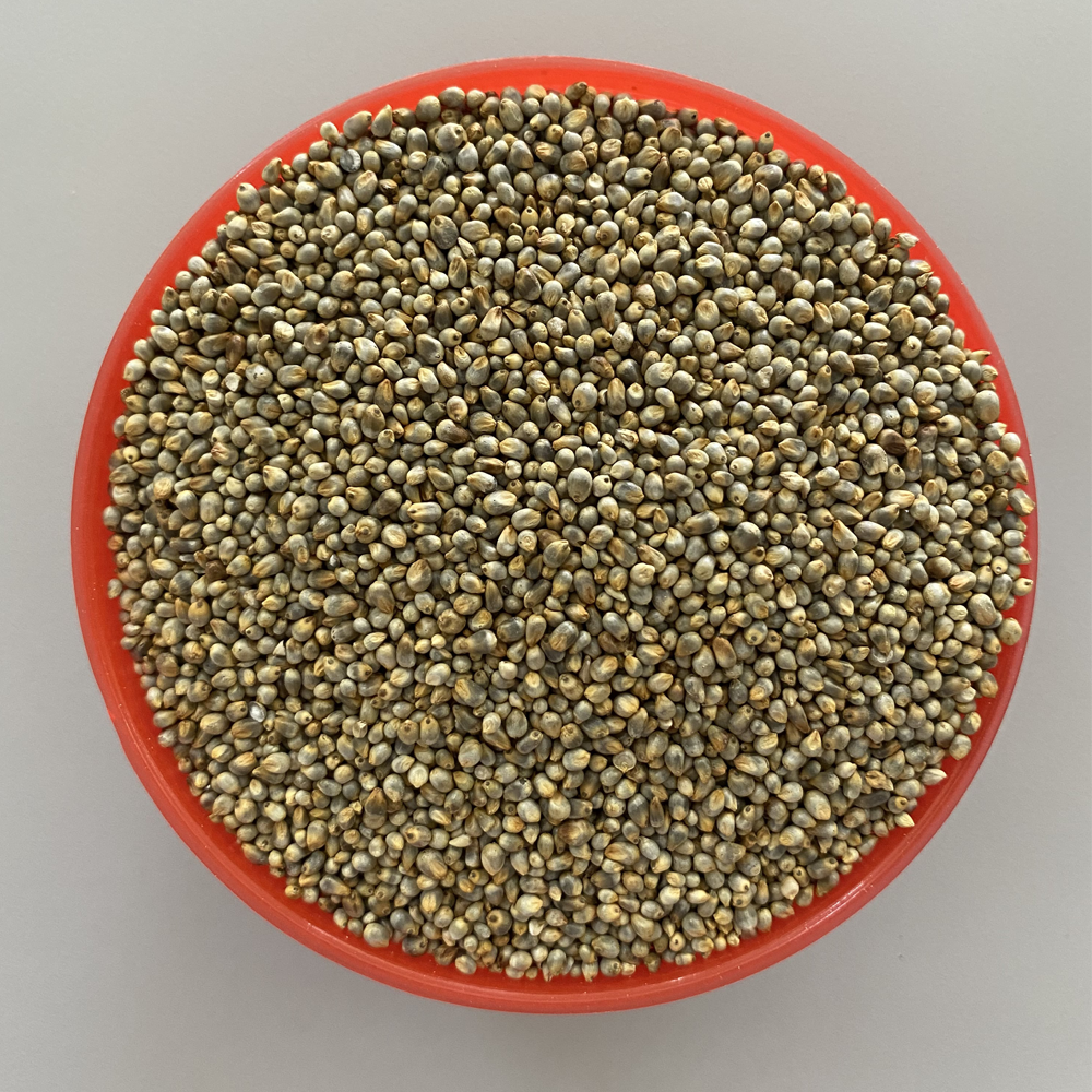 Valanadu Premium Whole Kambu (Pearl Millet) – 100% Organic, Cleaned, Raw Bajra Whole Grain Superfood - Image 2